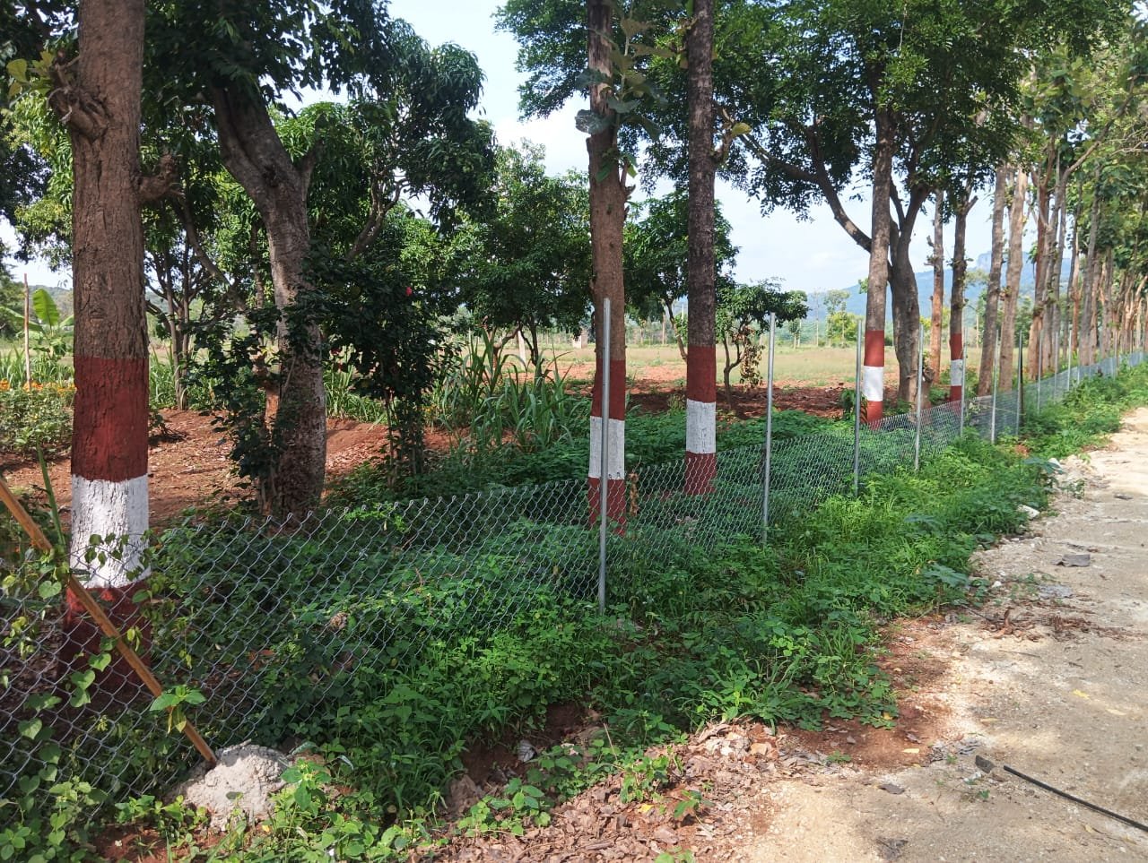Integrated farming
