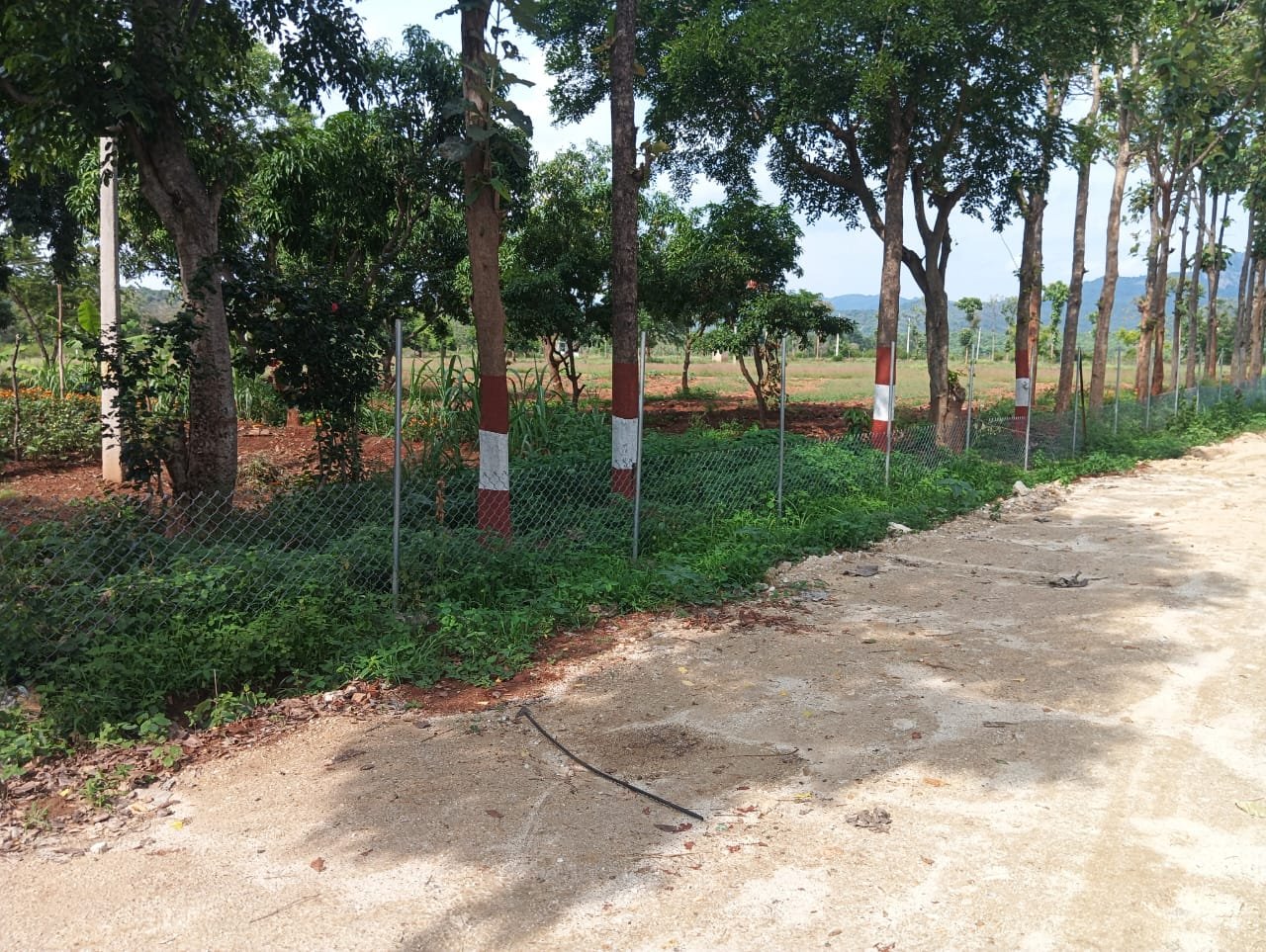 Krushi Bhoomi Farms — photo 1
