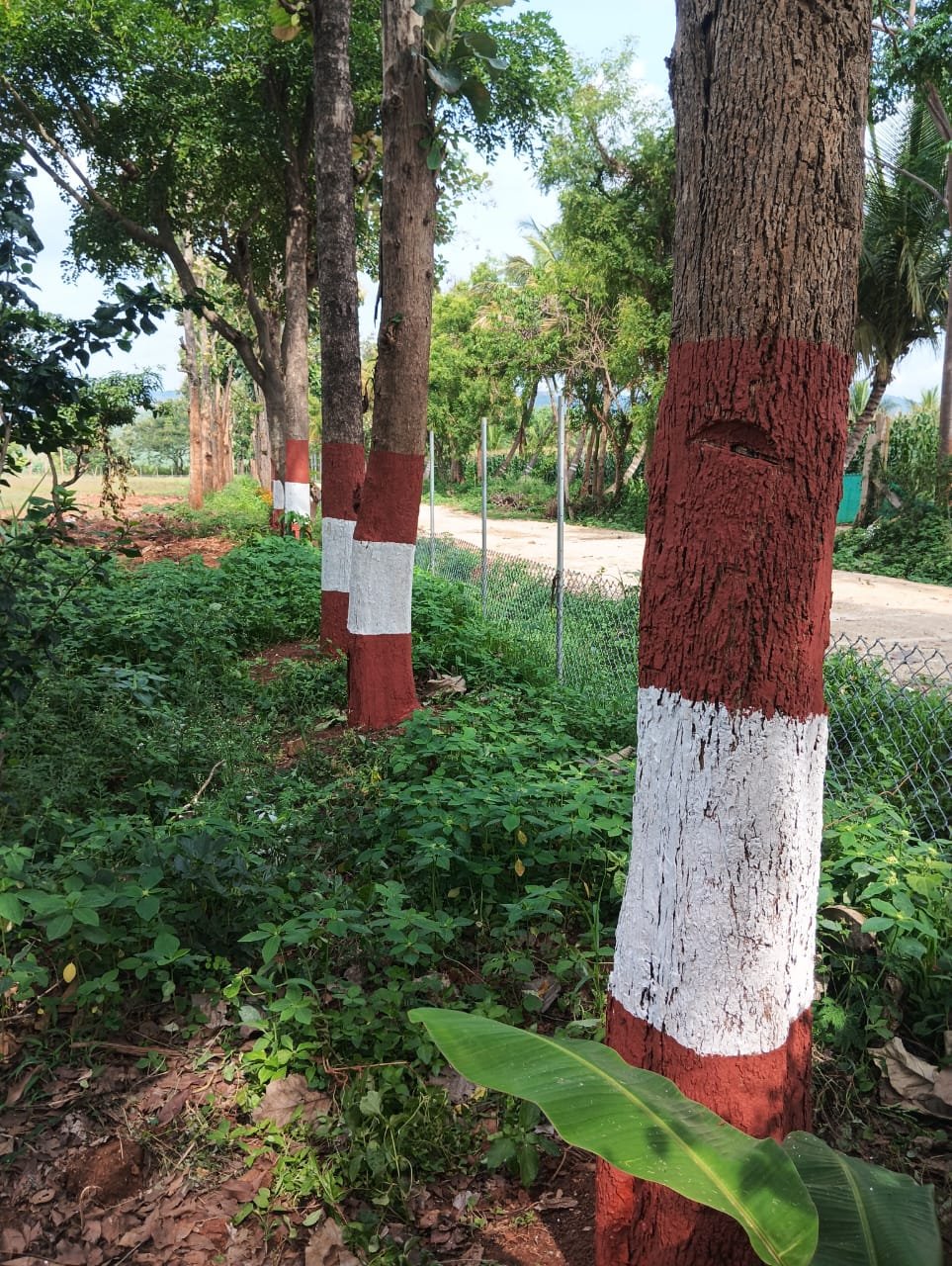 Krushi Bhoomi Farms — photo 2
