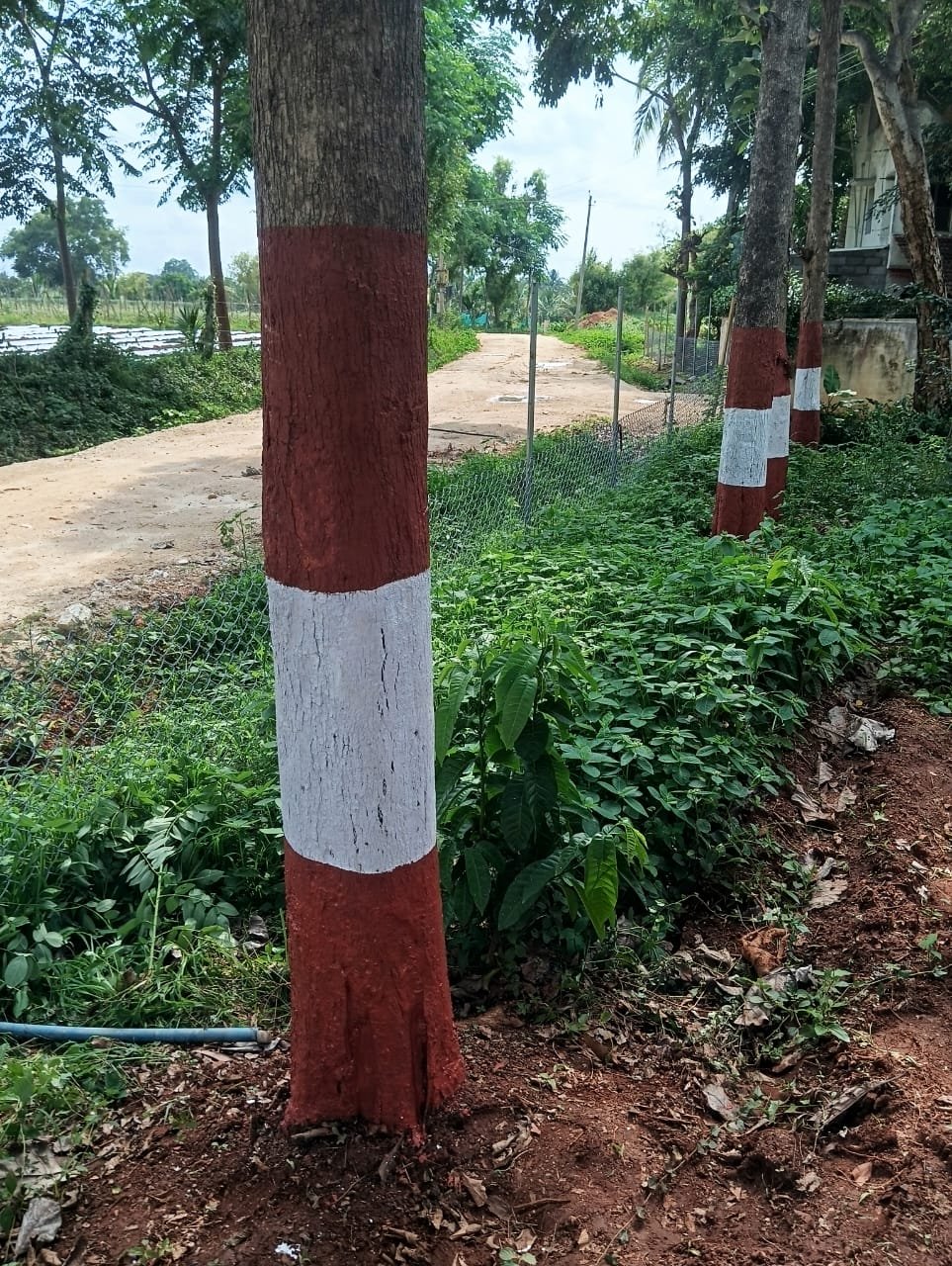 Krushi Bhoomi Farms — photo 4