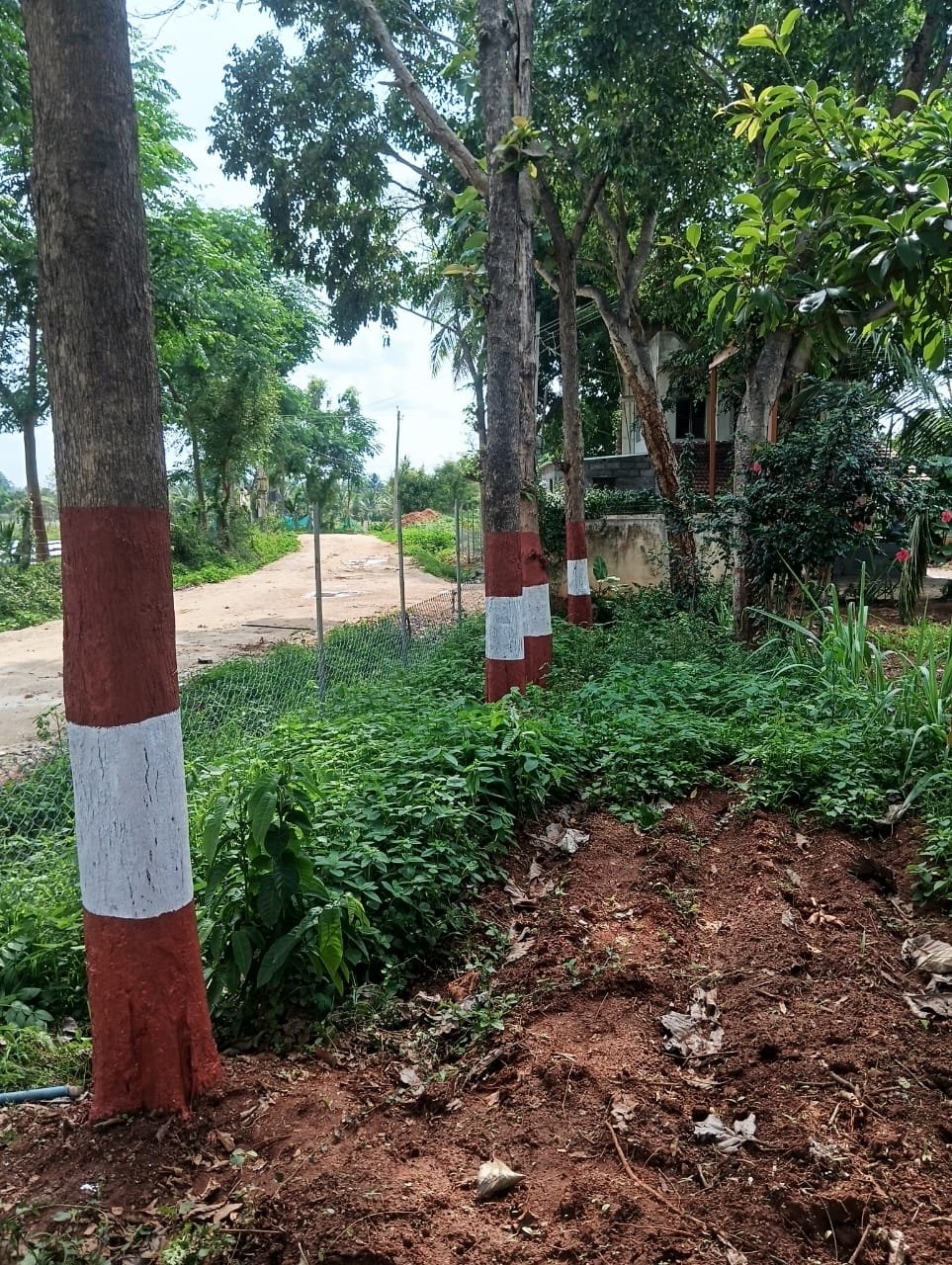 Krushi Bhoomi Farms — photo 6