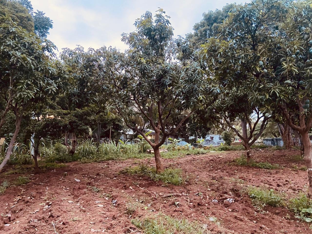 Krushi Bhoomi Farms — photo 23