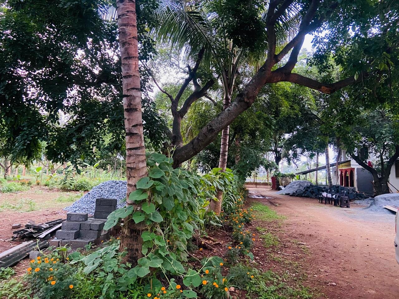 Krushi Bhoomi Farms — photo 25