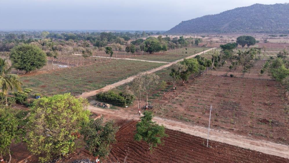 Krushi Bhoomi Farms — aerial photo 32