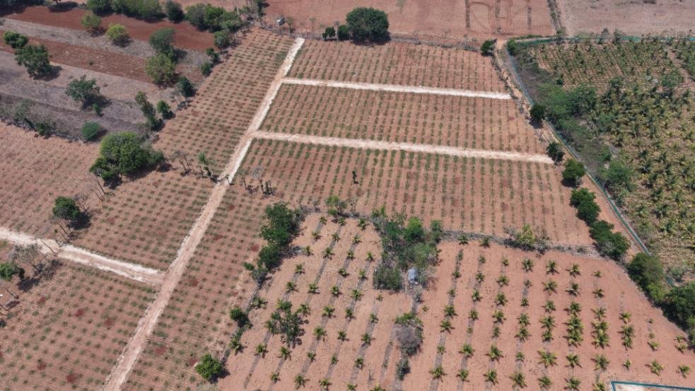 Krushi Bhoomi Farms — aerial photo 40